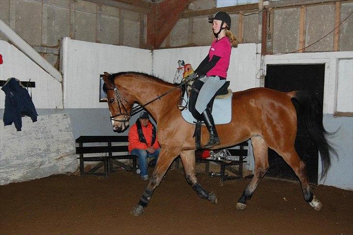 Anden særlig race Bob <3 (R.I.P :'( <3) - Superhesten! <3  billede 7