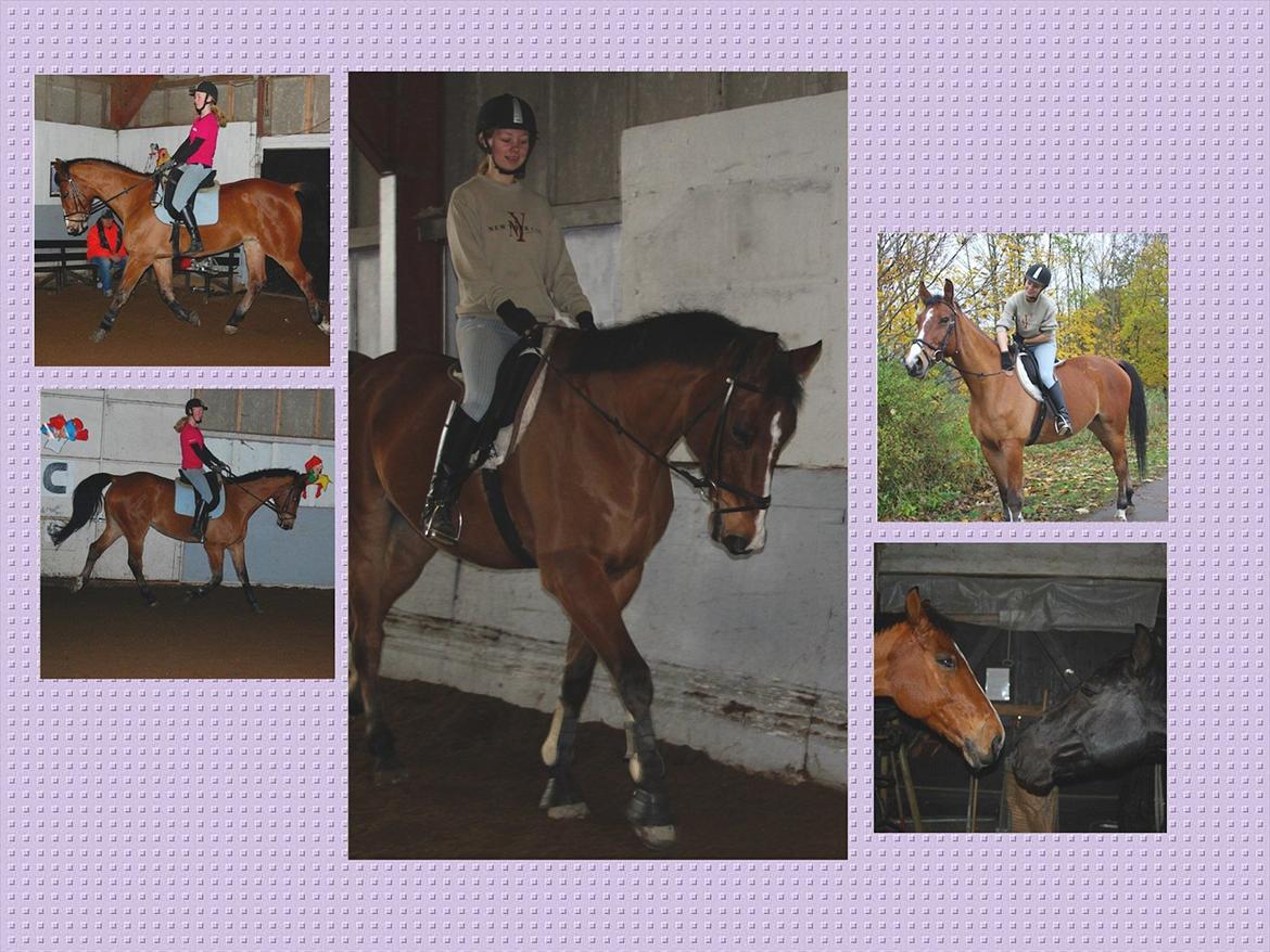 Anden særlig race Bob <3 (R.I.P :'( <3) - Sammensætning af flere billeder. <3  billede 20