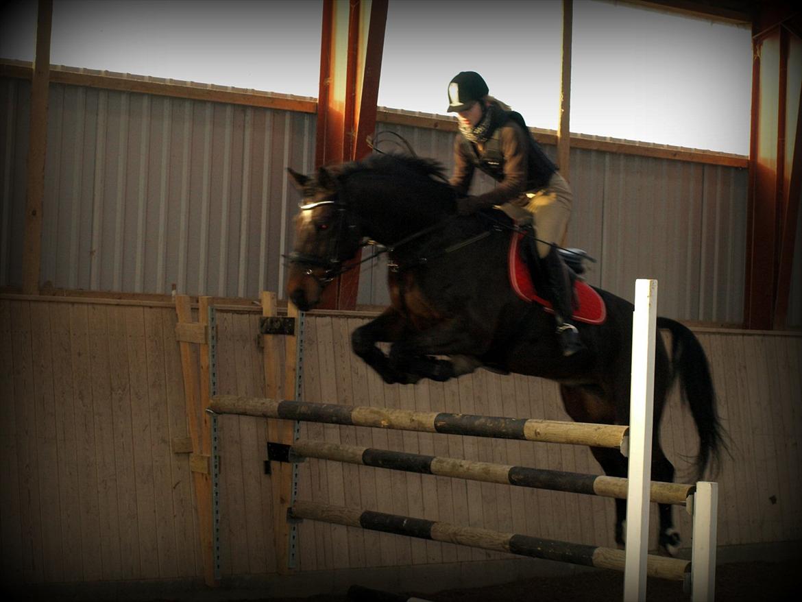 Holstener Galant - Galant og jeg I fint stil over 120. Træning. 27/12-2011. Foto: Far billede 5