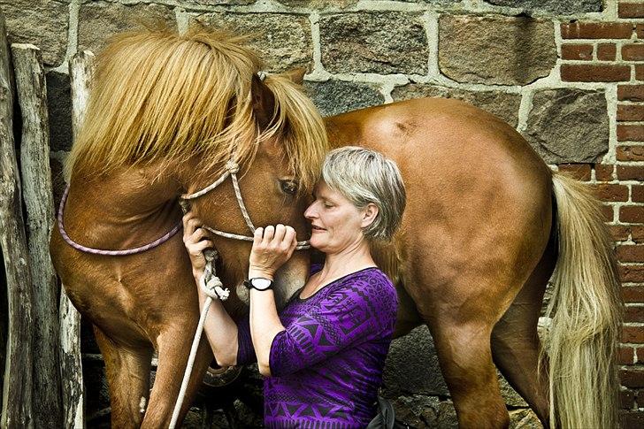 Islænder Tritla fra Duedahl<3 - Foto: www.nilshenrik.dk billede 10