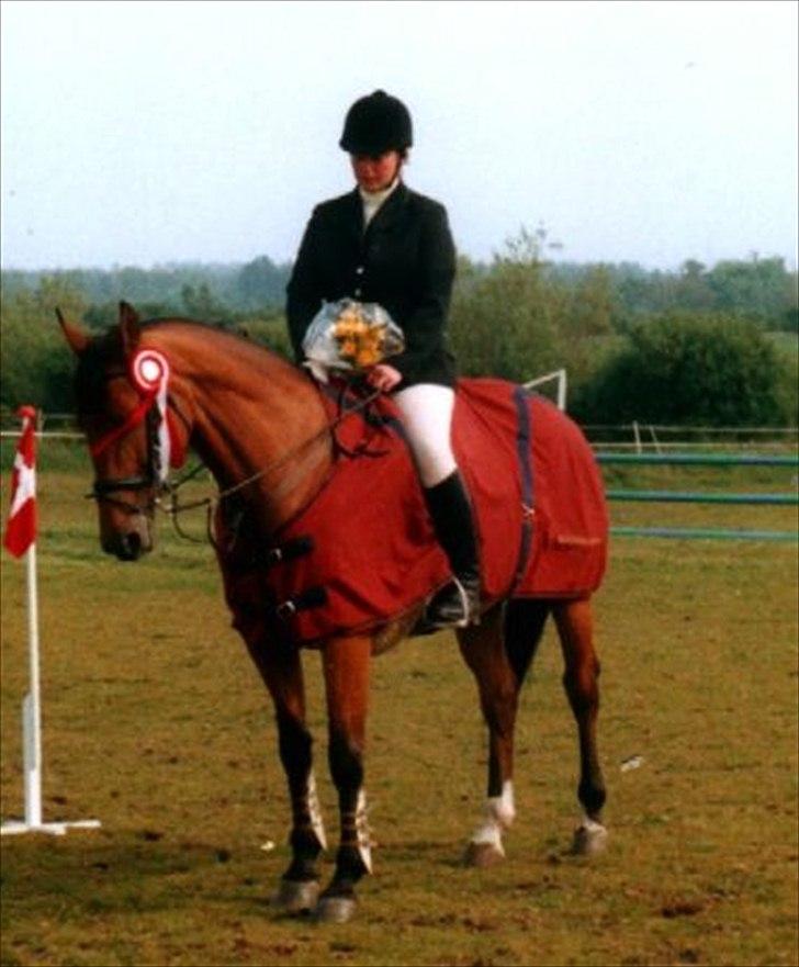 Dansk Varmblod Bianca af Borregård - Bianca regionsmester.
Det var hun en del gange, 4 gange indiviuelt, 3 gange med mig 1 gang med min mand. 2 gange for hold med mig. billede 1