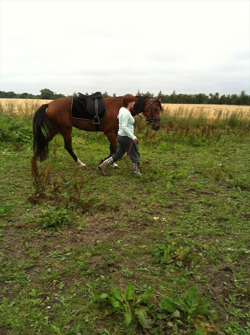 Traver Roses Lime - Du er så dygtig! :) billede 4