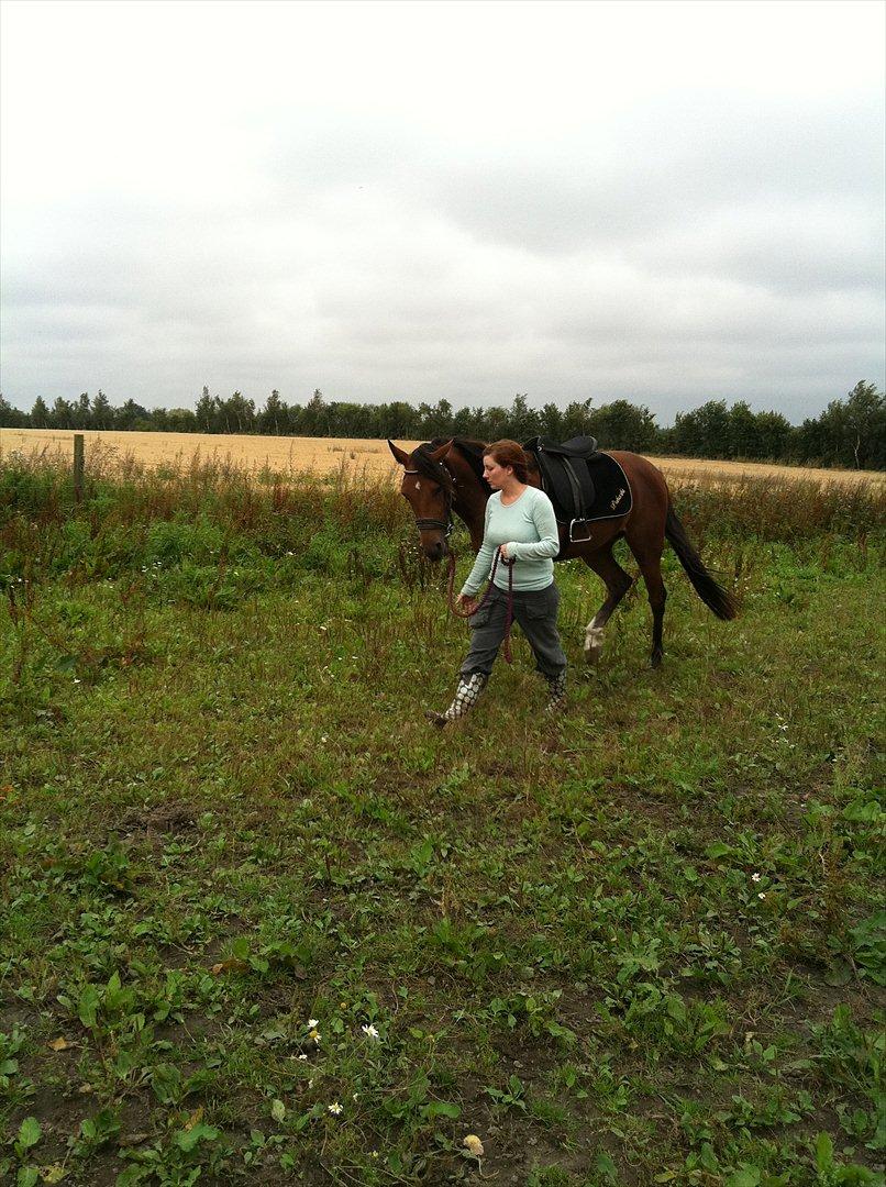 Traver Roses Lime - Du kan så godt li' Gitte! ;) billede 7