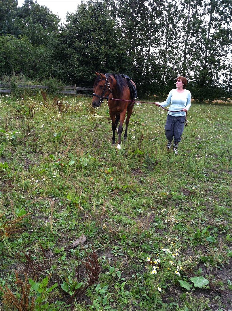 Traver Roses Lime - Rosie får øje på hundene i haven! ;) billede 8