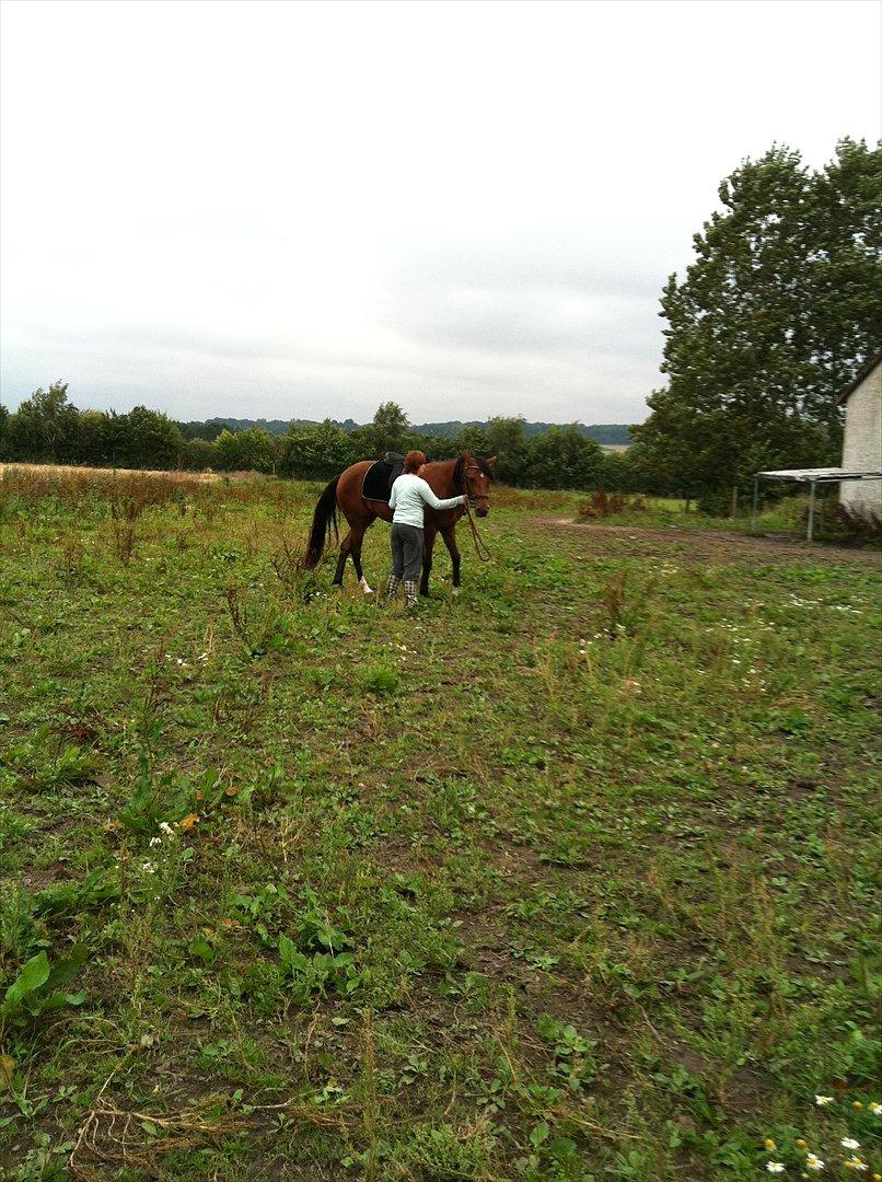 Traver Roses Lime - Du driller Gitte lidt! <3 billede 10