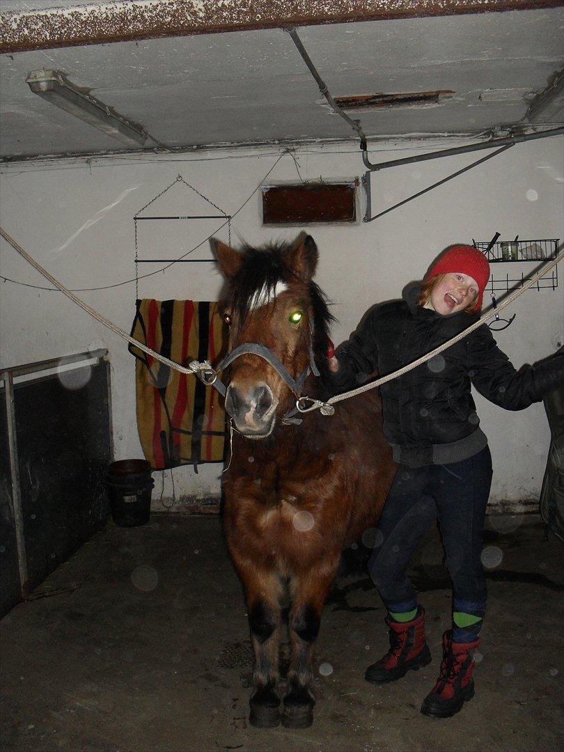 Anden særlig race Bølle Bob [Har redet] - „Før du giver slip, så husk hvorfor du holdte fast.“

Foto: min mor eller min søs billede 2