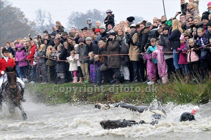 Anden særlig race Wish Me Luck - Da vi styrtede i magasindammen til hubertusjagten i Dyrehaven 2011 billede 16