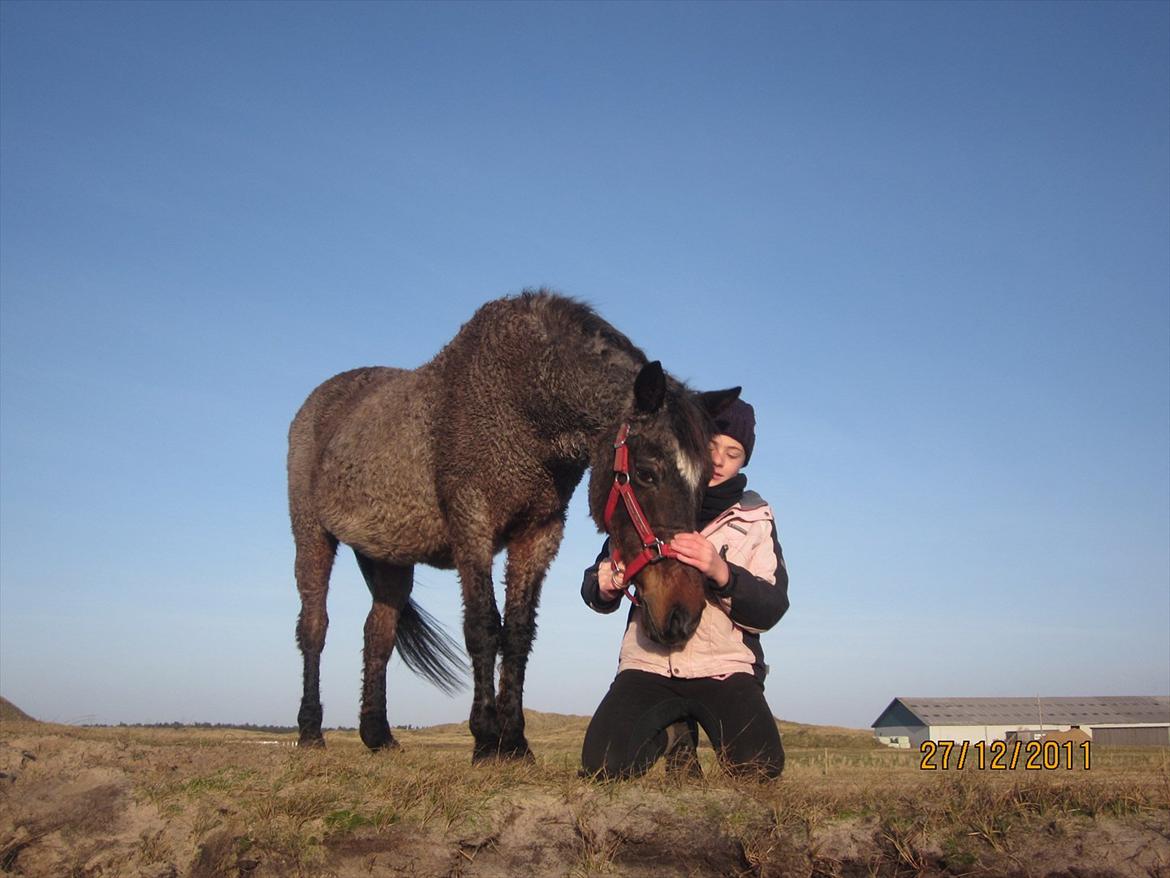 Anden særlig race Hara min lille skat R.I.P - Klø mig
Fotograf: Thea billede 11