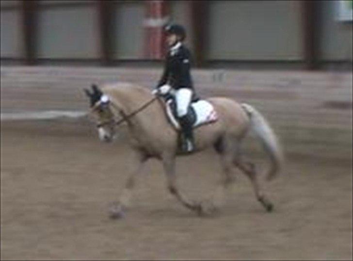 DSP Elvira Wales billede 3