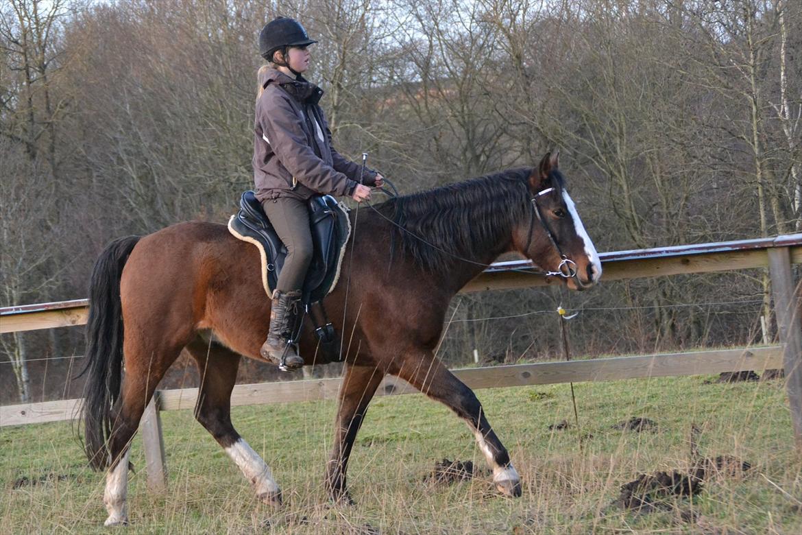 Pinto Vognbjergs Picasso billede 6