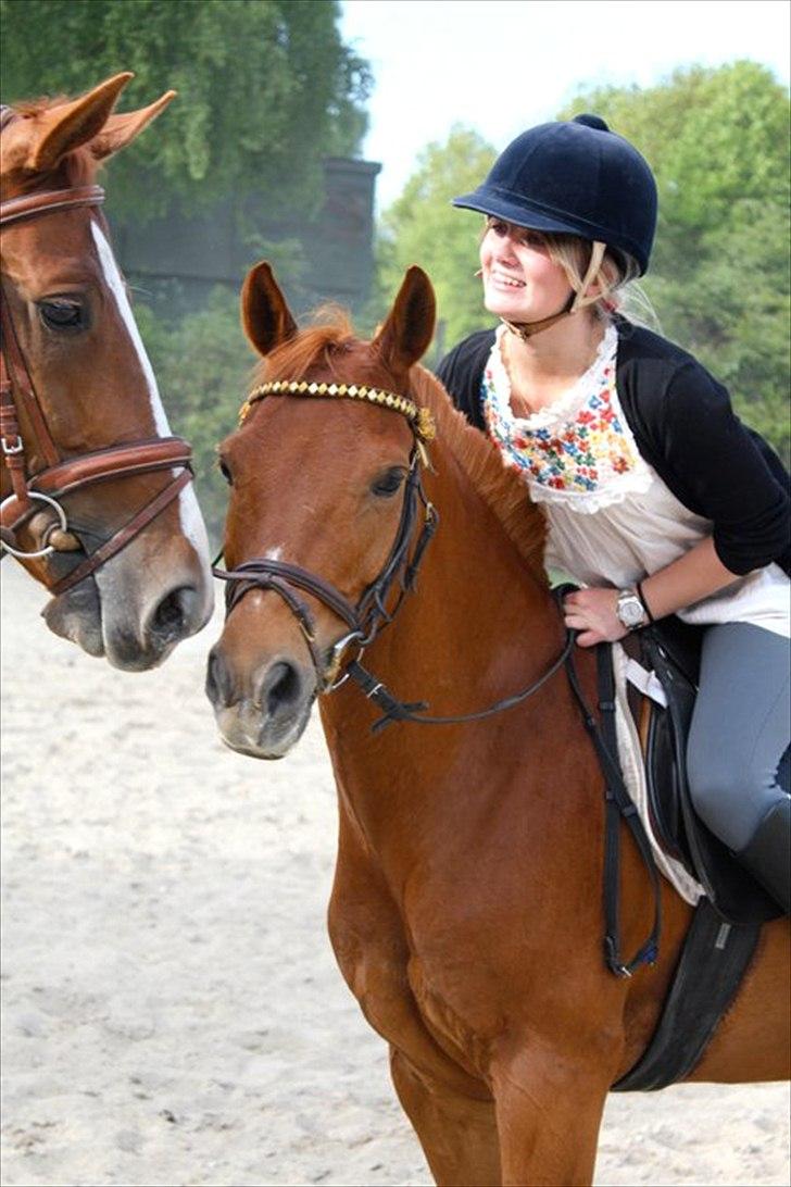 Anden særlig race Ponylands Bolero<3 sov sødt min skat - Bolero´baby og Delle <3 13 maj 2011, foto Rillo. <3 billede 5