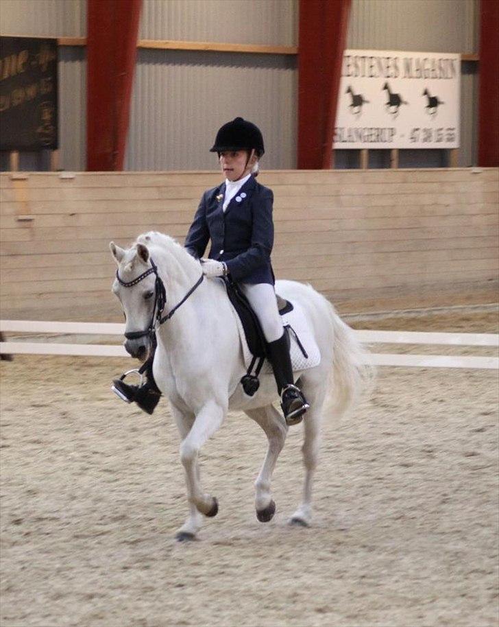 Welsh Pony (sec B) Korreborgs Hero - You the smoke to my high and you the one i wanna marry<3 Caus`e you the one for me, me and im the one for you, you BECAUSE WE THE PERFECT TOO   <3<3<3<3<3<3 Skatter jeg elsker dig !<3<3 billede 17