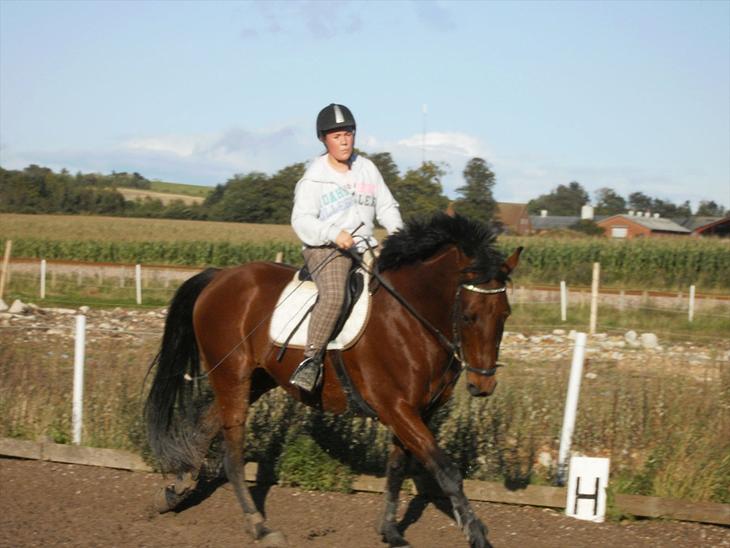 {{currentPhoto.altText}} billede {{currentPhoto.number}}