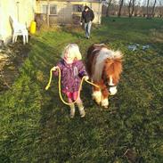 Shetlænder Buster!<3..My soulmate!<3..Medister!<3