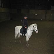 Anden særlig race Tarzan *ELEVPONY*