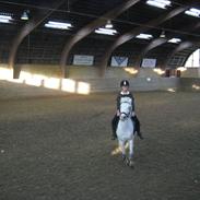 Anden særlig race Tarzan *ELEVPONY*