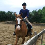 Frederiksborg Wai Hau