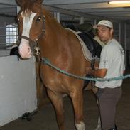 Frederiksborg Wai Hau