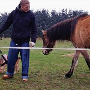 Anden særlig race Kava
