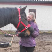 Oldenborg Mølgaard's Asmina R.I.P.