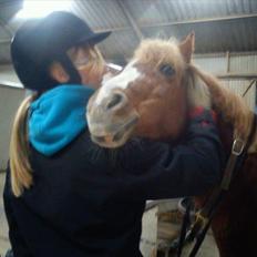 Anden særlig race Mathilde (Rideskolehest)