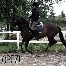 Anden særlig race  Lopez 