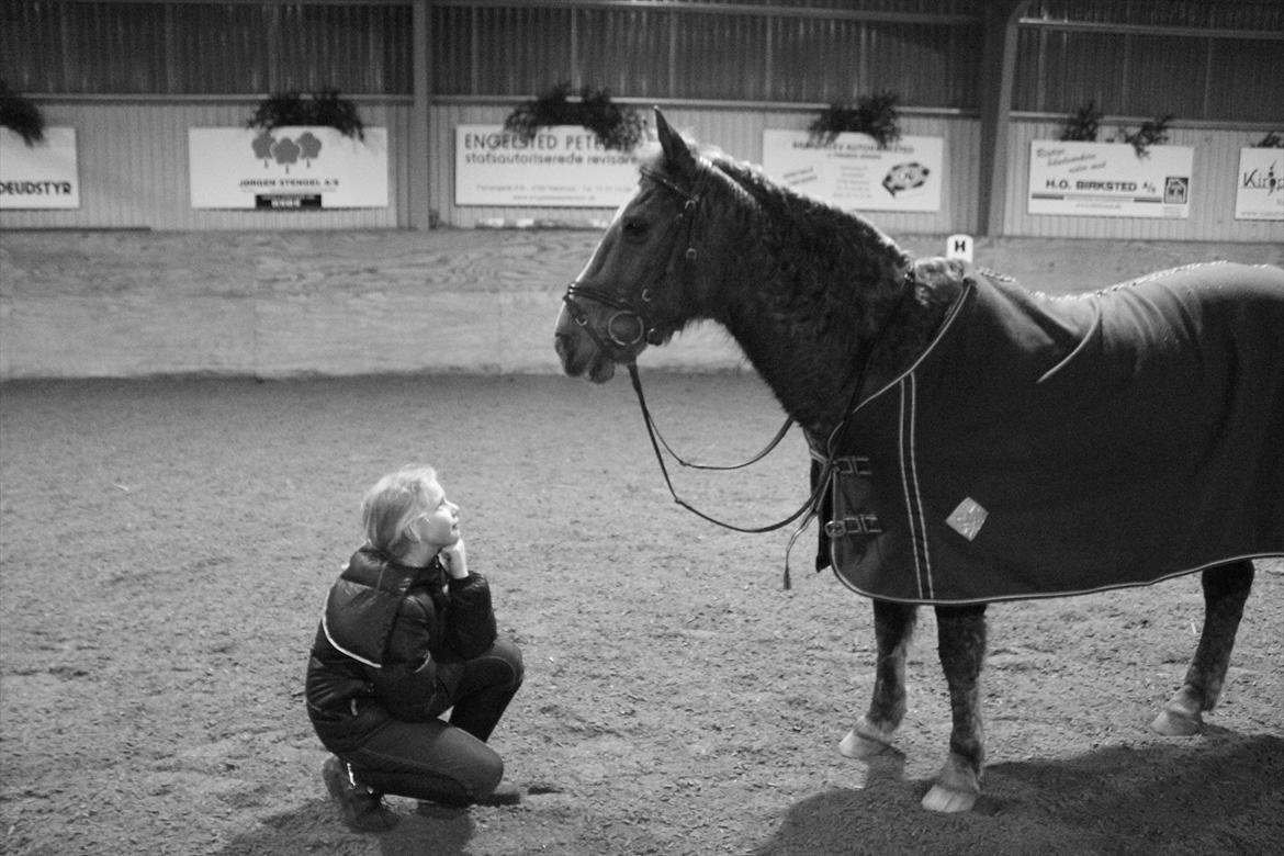 Anden særlig race Oliver - Et kys for dine tanker billede 10
