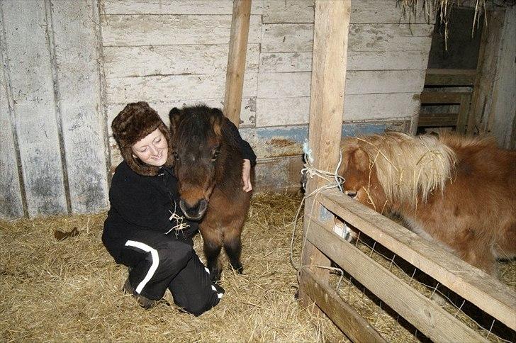 Anden særlig race Lille-pigen. - sød lillie hest er du blevet til <3 billede 5