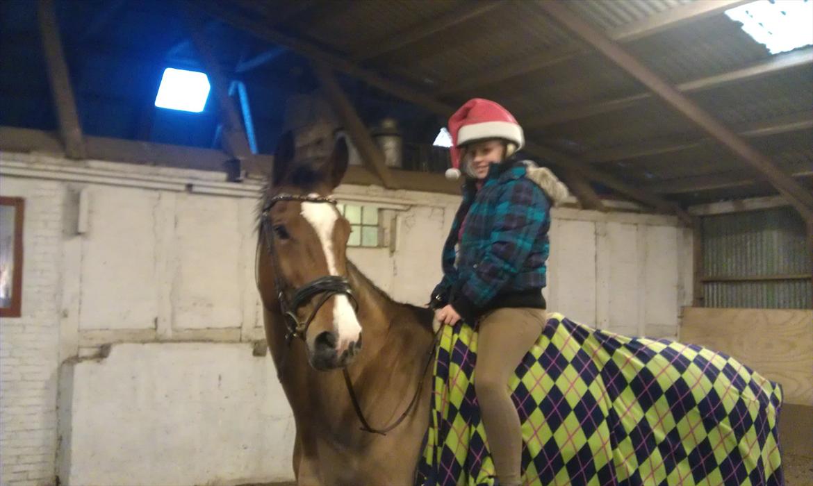 Dansk Varmblod Qvani - Cecilie fik lige lov at prøve den store. billede 11