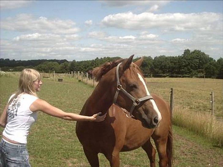 Anden særlig race Master Django Jr. R.I.P - En dejlig sommerdag billede 2
