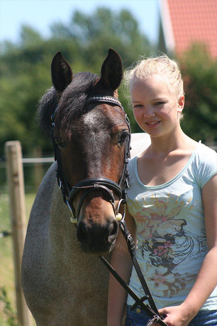 Welsh Partbred (Sec F) Kildegård Laura  billede 19