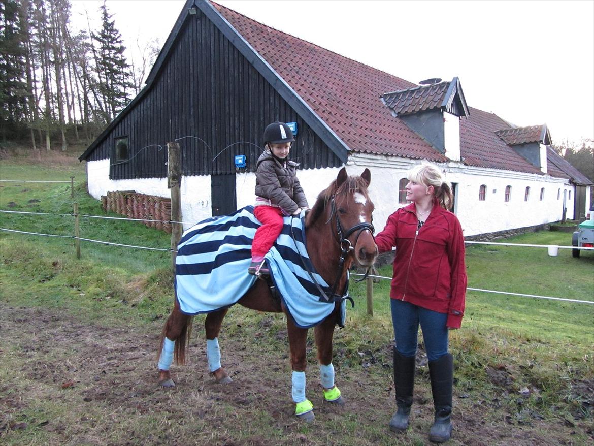 Welsh Pony (sec B) Bjerregårds Gandalf - Nadia, Gandalf og mig billede 4