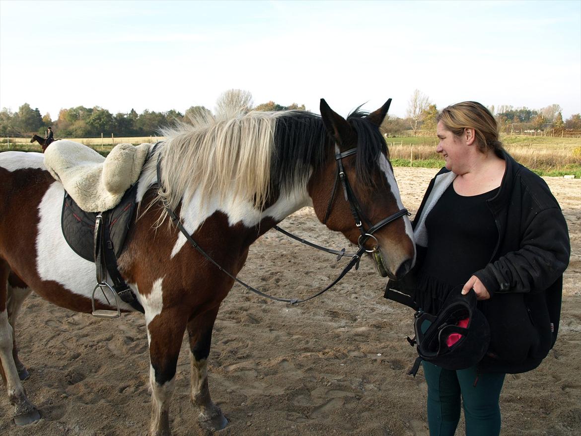 Anden særlig race Sofi - moster rider fie billede 3