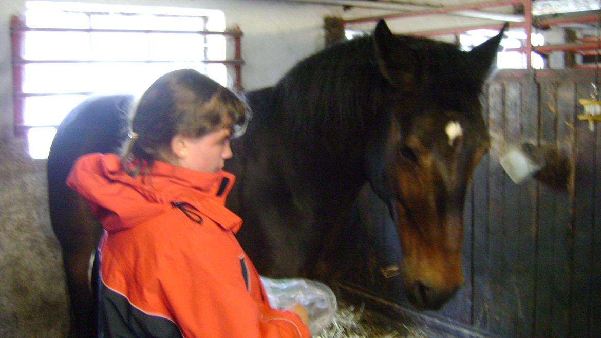 Fuldblod (XX) Smokey  - i boksen med smokey! foto: Nikoline  billede 11