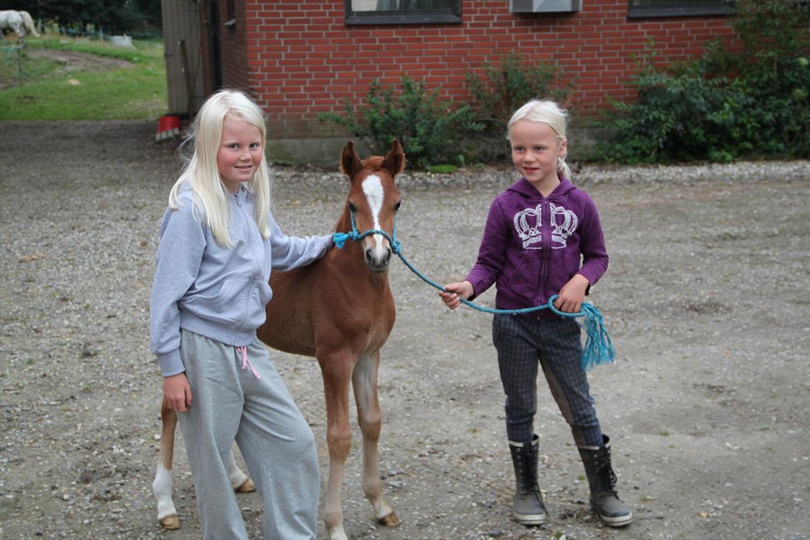 Anden særlig race Lucas billede 2