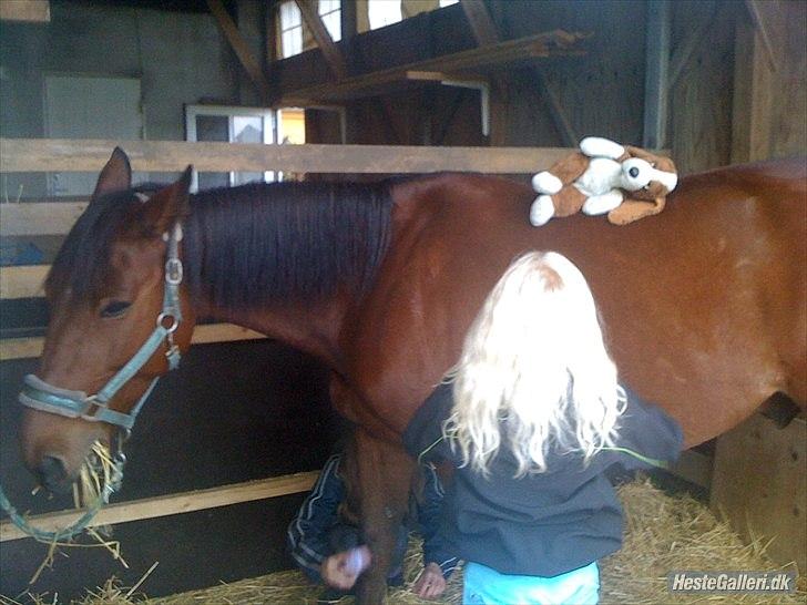 Traver Fame spirit - Altid børnevenlig!<3
søster med bamse:D
foto: rebecca stentoft billede 2