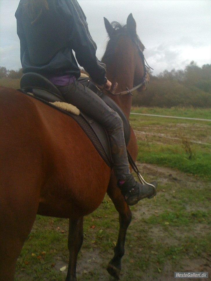 Traver Fame spirit - foto: rebecca stentoft billede 4