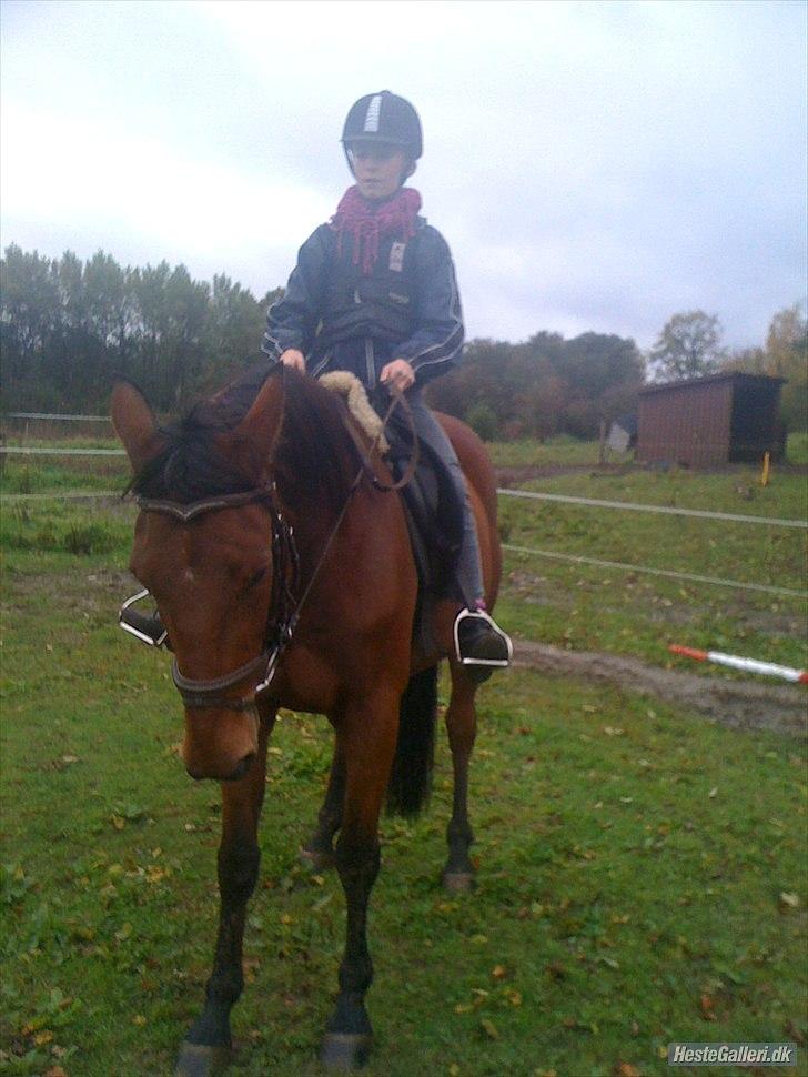 Traver Fame spirit - foto: rebecca stentoft billede 5