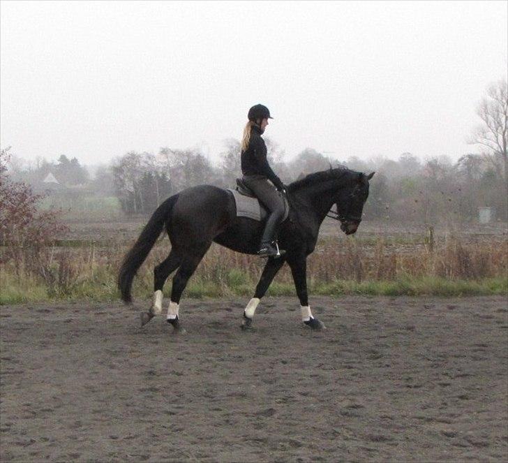 Oldenborg Calvino Langmose  billede 9