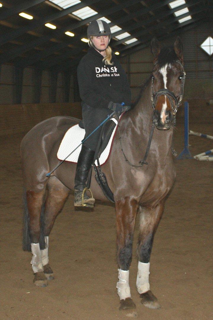 Holstener Prior´s Carmen billede 14