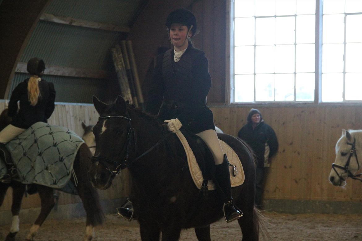 Anden særlig race Miss trixie bell  - F-KR første spring stævne - opvarmning :-) billede 2