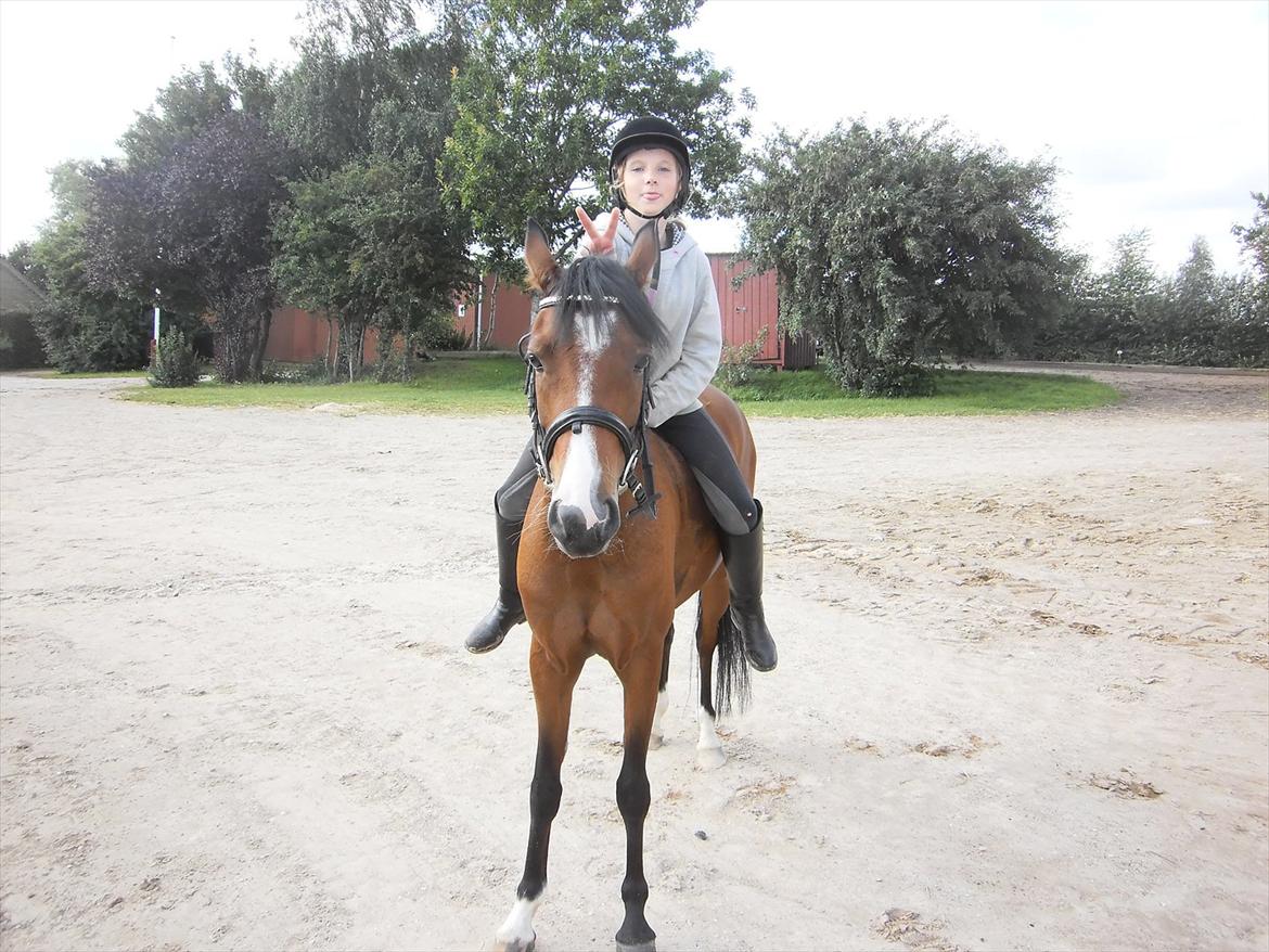 Anden særlig race Tika [tidligere låne pony] ;-( billede 7