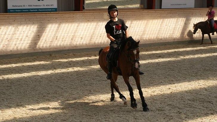 Anden særlig race Tika [tidligere låne pony] ;-( billede 8