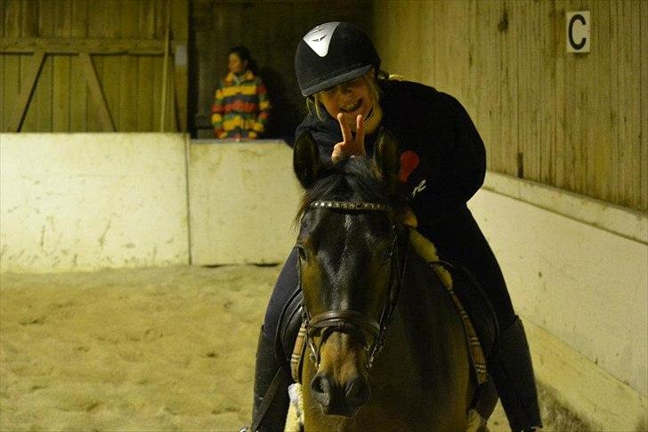 Anden særlig race Prince Joey - Smil JOEY!!!:D billede 5