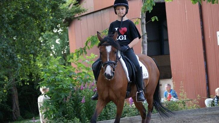 Anden særlig race Tika [tidligere låne pony] ;-( billede 11