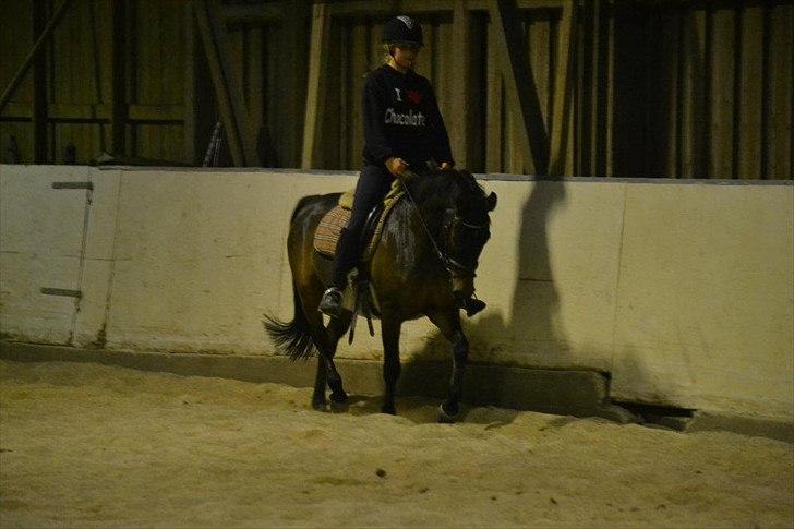 Anden særlig race Prince Joey - Dressur undervisning ?:) billede 8