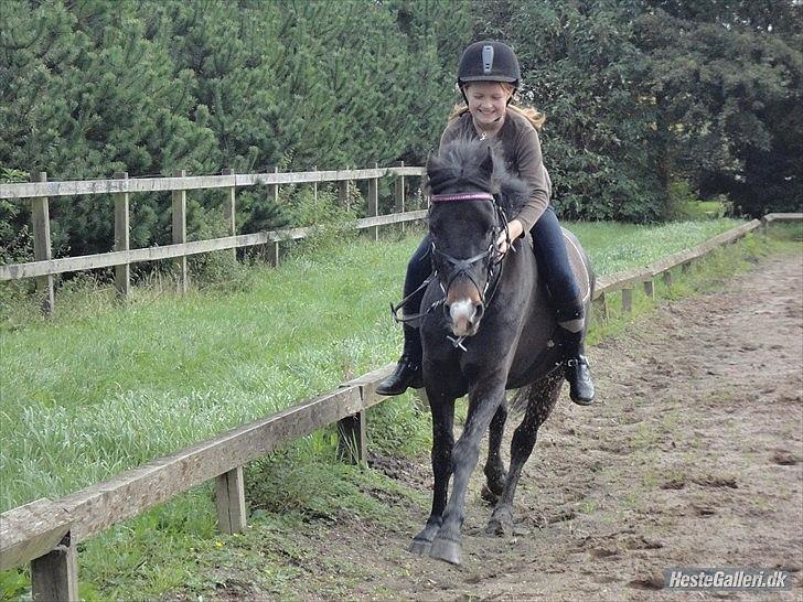 Anden særlig race Calypso - Nutid, datid os to foraltid! <3 billede 7