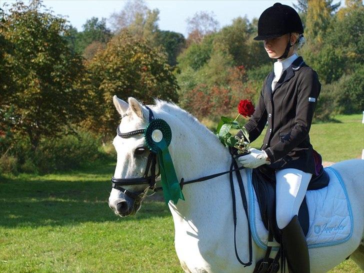 Welsh Pony (sec B) Black Beauty A-pony SOLGT <3 :,( - OHR klubmesterskab 2011.
LA4: 61% ???? og af den anden dommer fik jeg 70% :D det var virkelig en mærkelig dommer der synes budi ikke taktede rigtig i galopen xD hun er for mærkelig !  billede 15