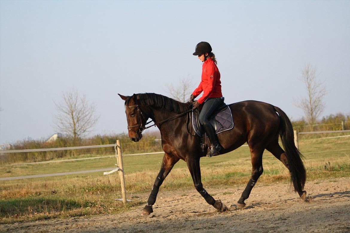 Anden særlig race Rapsodia - Min yndige lille Swup<3 Dig elsker jeg højere end op til skyerne<3 Du og jeg<3 Med dig svæver jeg på en lille lyserød sky<3 Taget d. 12/11-2011. Foto: Nicole :D  billede 14