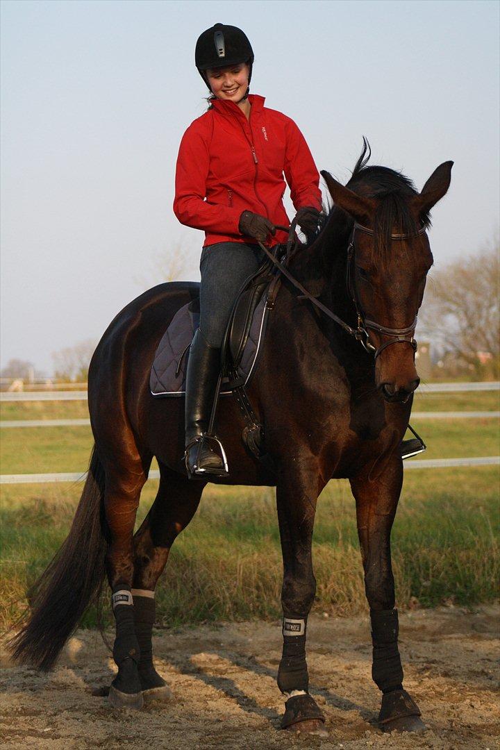 Anden særlig race Rapsodia - Smuk, yndig og ultra lækker!<3 Tak for kigget, læg gerne en bedømmelse og en kommentar hvis du synes :)  billede 20